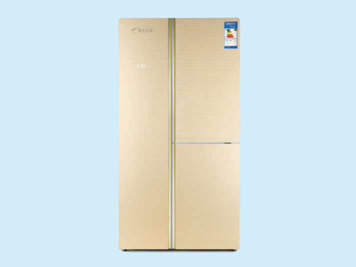 香槟金 BCD-600WDS